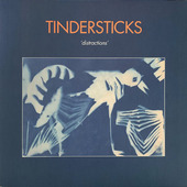Tindersticks - Distractions (2021) - Vinyl