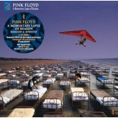 Pink Floyd - A Momentary Lapse Of Reason: Remixed & Updated (Edice 2021) - Vinyl