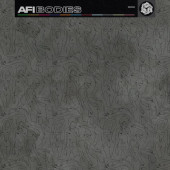 A.F.I. - Bodies (2021) - Vinyl