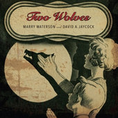 Marry Waterson & David A. Jaycock - Two Wolves (2015) - Vinyl 
