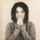 Björk - Debut (1993) - Vinyl