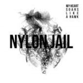 Nylon Jail - My Heart Soars Like a Hawk
/Vinyl 