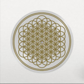 Bring Me The Horizont - Sempiternal (10th Anniversary Edition 2023) - Limited Picture Vinyl