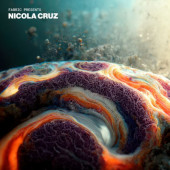 Nicola Cruz - Fabric Presents Nicola Cruz (2022) - Limited Vinyl
