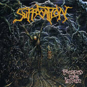 Suffocation - Pierced From Within (Reedice 2021) /Limited Digipack