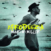 Marcus Miller - Afrodeezia (2015) 