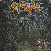 Suffocation - Pierced From Within (Edice 2016) - 180 gr. Vinyl 