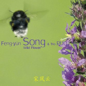 Feng-yűn Song - Wild Flower (2006)