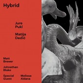 Jure Pukl & Matija Dedic - Hybrid (2017) 