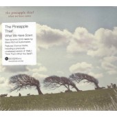 Pineapple Thief - What We Have Sown (Digipack, Reedice 2018) 