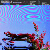 Friendly Fires - Inflorescent (2019)