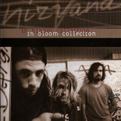 Nirvana - In Bloom Collection 