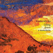 Tindersticks - Falling Down A Mountain (2010)