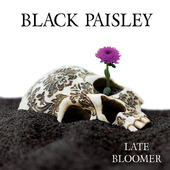 Black Paisley - Late Bloomer (Limited Edition, 2017) - Vinyl 