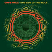 Gov't Mule - Dub Side Of Mule (2015) 