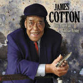 James Cotton - How Long Can A Fool Go Wrong (2011) (2011)