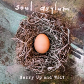 Soul Asylum - Hurry Up and Wait (2LP+7“ Vinyl, 2020) /Limited Vinyl
