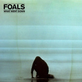 Foals - What Went Down (2015) - 180 gr. Vinyl 