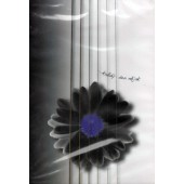 Vlasta Redl - Každý Den Nějak (2010) /DVD