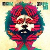 Incognito - Amplified Soul (2014) 