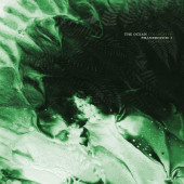 Ocean Collective - Phanerozoic I: Palaeozoic Instrumental (Limited edition, 2018) – 180 gr. Vinyl