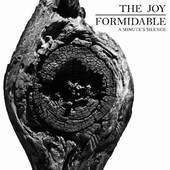 Joy Formidable - A Minute's Silence (12'' Vinyl) 