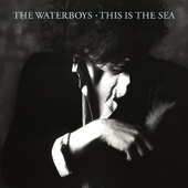 Waterboys - This Is The Sea - 180 gr. Vinyl 