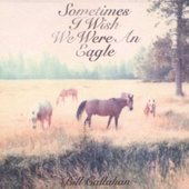 Bill Callahan - Sometimes I Wish We Were an Eagle 
