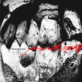 Poison The Well - Peace In Place (2026) - Limited Vinyl