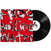 DIIV - Frog In Boiling Water (2024) - Vinyl