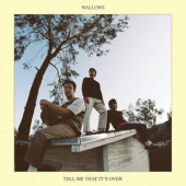 Wallows - Tell Me That It's Over (Limited Yellow Vinyl, 2022) - Vinyl