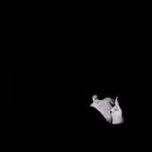 Bob Moses - Days Gone By/2LP (2015) 