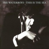 Waterboys - This Is The Sea (Collector's Edition 2017) 