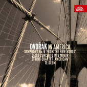 Various Artists - Dvořák v Americe 