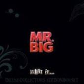 Mr. Big - What If... 