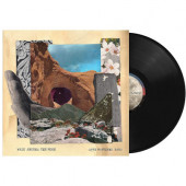 Dave Matthews Band - Walk Around The Moon (2023) - Vinyl