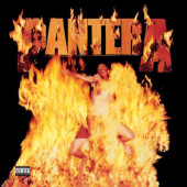 Pantera - Reinventing The Steel (Limited Edition 2020) - 180 gr. Vinyl