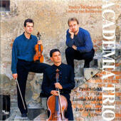 Dmitrij Šostakovič, Ludwig Van Beethoven - Academia Piano Trio (2000)
