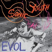 Sonic Youth - EVOL/REEDICE 2015 