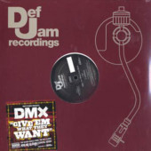 DMX - Give 'Em What They Want / Pump Ya Fist (2005) - 12" Vinyl