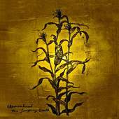 Woven Hand - Laughing Stalk/Digipack 