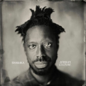 Shabaka - Afrikan Culture (2023) - Vinyl