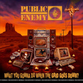 Public Enemy - What You Gonna Do When The Grid Goes Down? (2020)