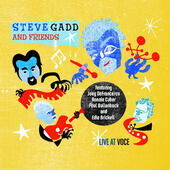 Steve Gadd - Live At Voce (2010)