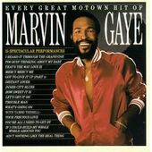 Marvin Gaye - Every Great Motown Hit Of Marvin Gaye: 15 Spectacular Performances (2020) - Vinyl