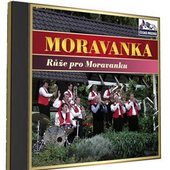 Moravanka - Růže pro Moravanku 