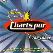 Various Artists - Charts Pur 