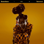 Little Simz - Sometimes I Might Be Introvert (2021) - Vinyl