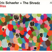Eric Schaefer & The Shredz - Bliss (2016) 