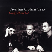 Avishai Cohen Trio - Gently Disturbed (Edice 2010) - Vinyl 